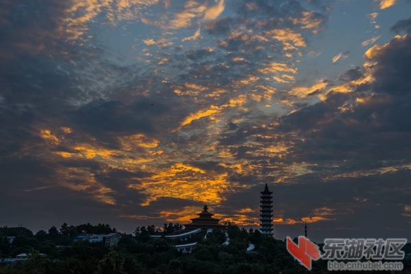 DSC_5967.jpg