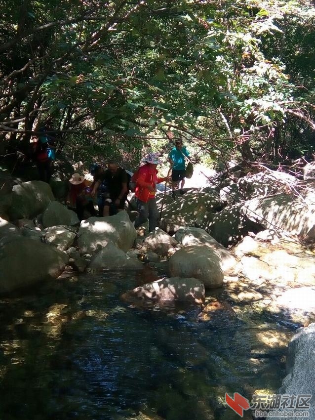QQ图片20160828203638.jpg
