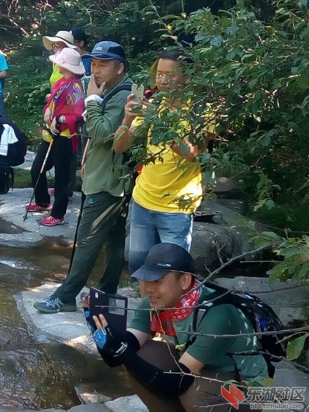 QQ图片20160828203643.jpg