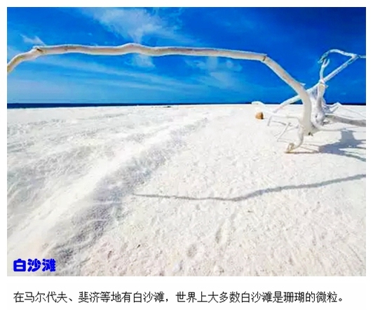 01白沙滩.jpg