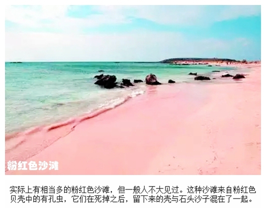 02粉红色沙滩.jpg