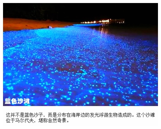 06蓝色沙滩.jpg