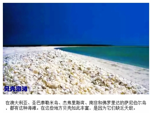 09贝壳海滩.jpg
