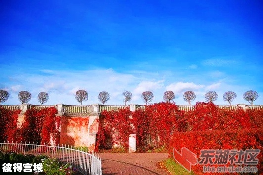 2彼得宫城3.webp_副本.jpg