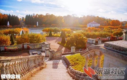 2彼得宫城5.webp_副本.jpg