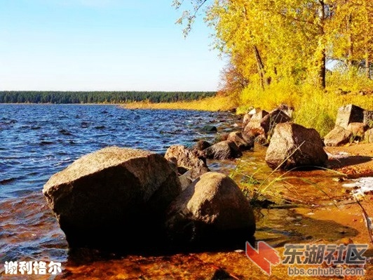 7谢利格尔.webp_副本.jpg