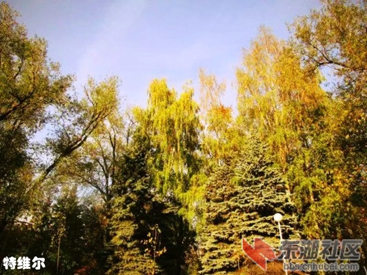 8特维尔3.webp_副本.jpg