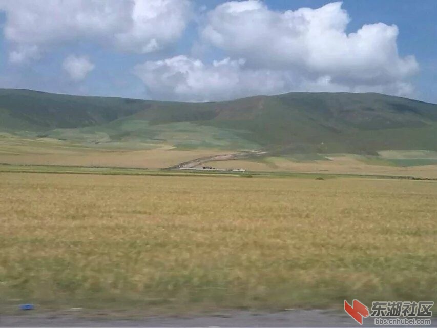 739.jpg
