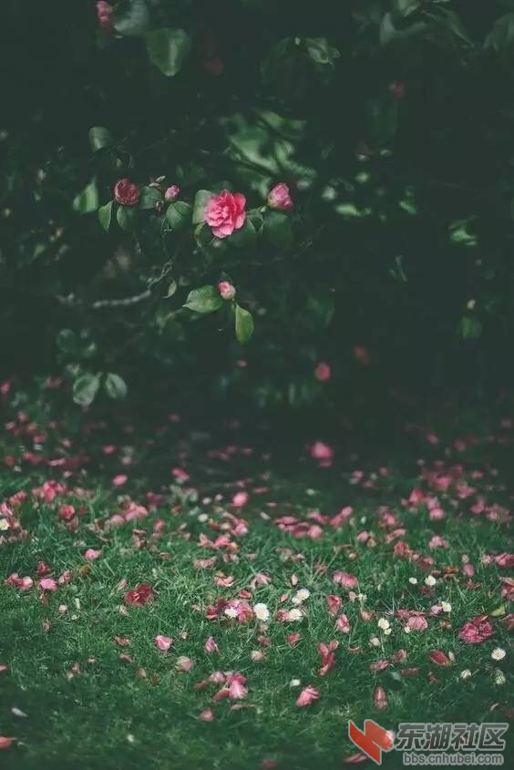 003.JPG