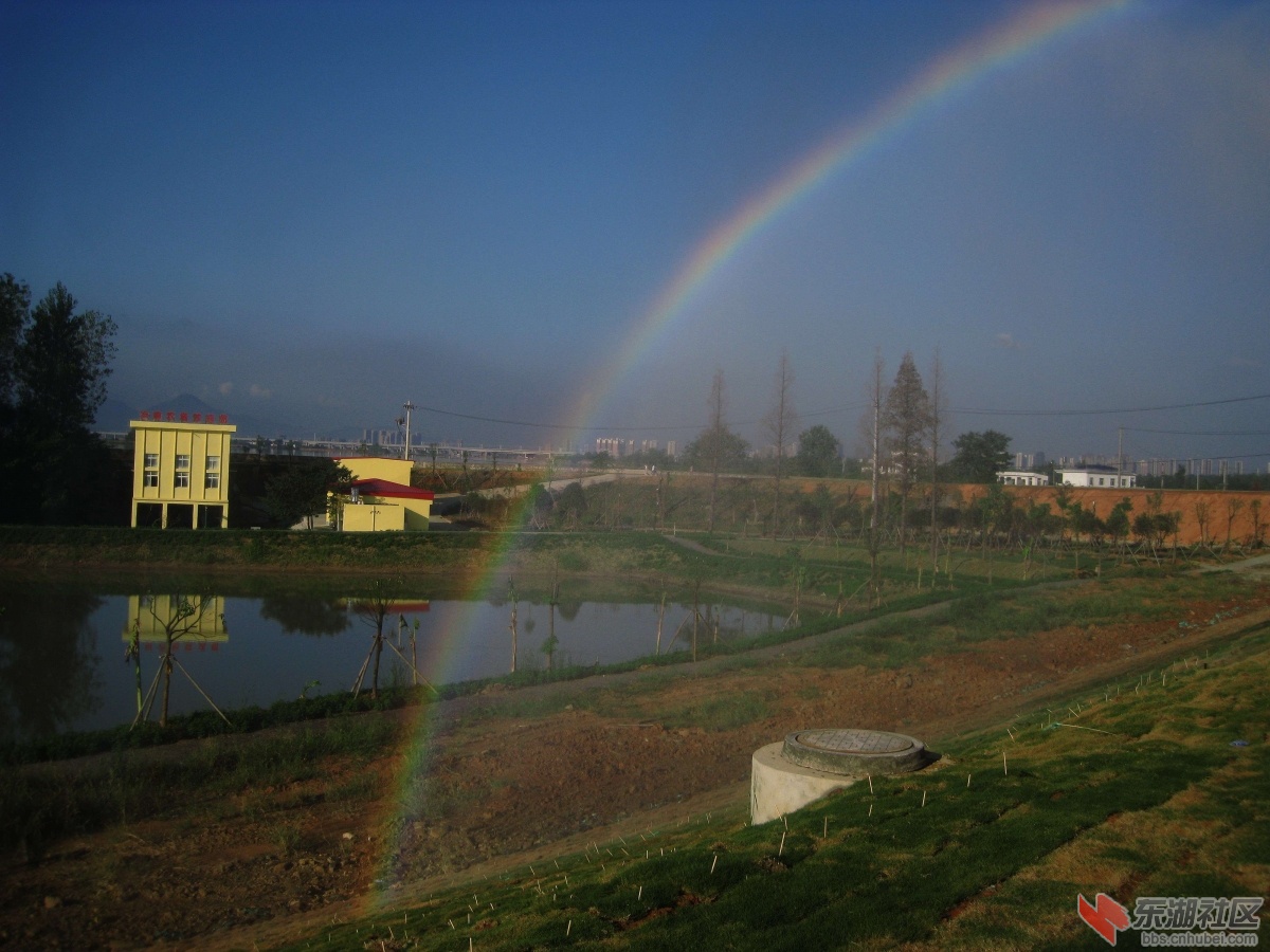IMG_4647.jpg