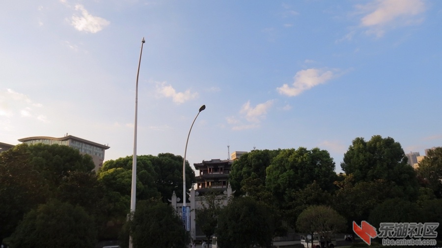 46.jpg