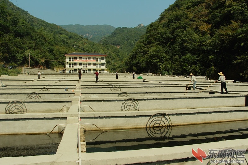 IMG_6012_副本.jpg