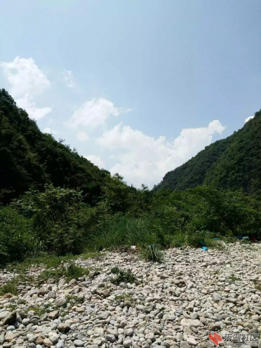 762.jpg