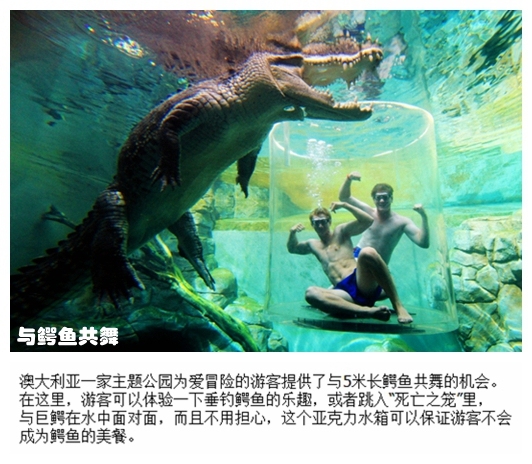 01与鳄鱼共舞.jpg