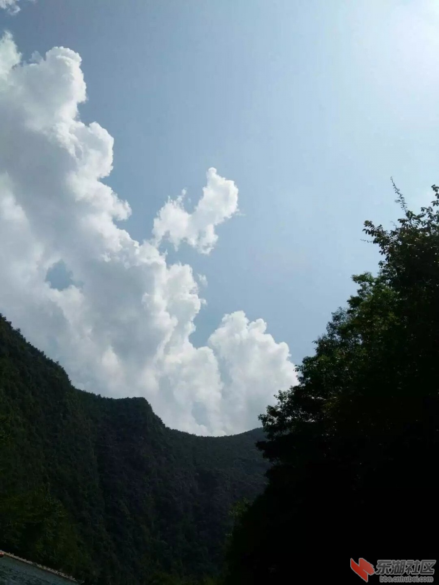 765.jpg