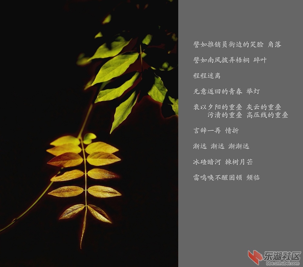 渡1.jpg
