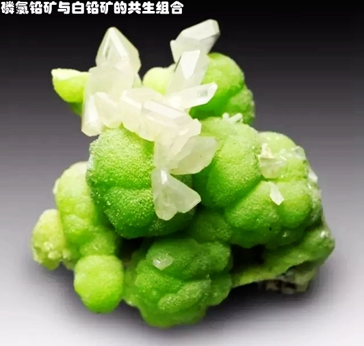 1磷氯铅矿与白铅矿的共生组合.webp_副本.jpg