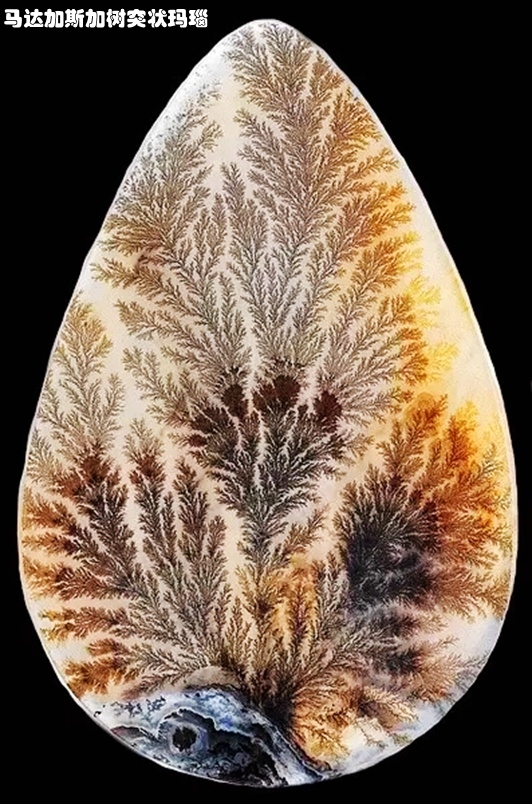 19马达加斯加树突状玛瑙.webp_副本.jpg