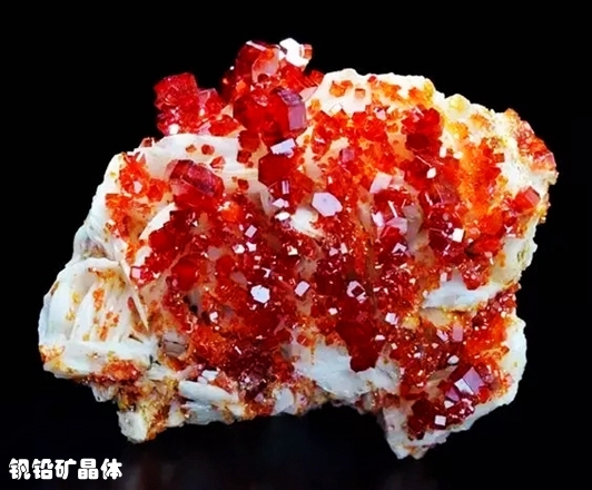 62钒铅矿晶体.webp_副本.jpg