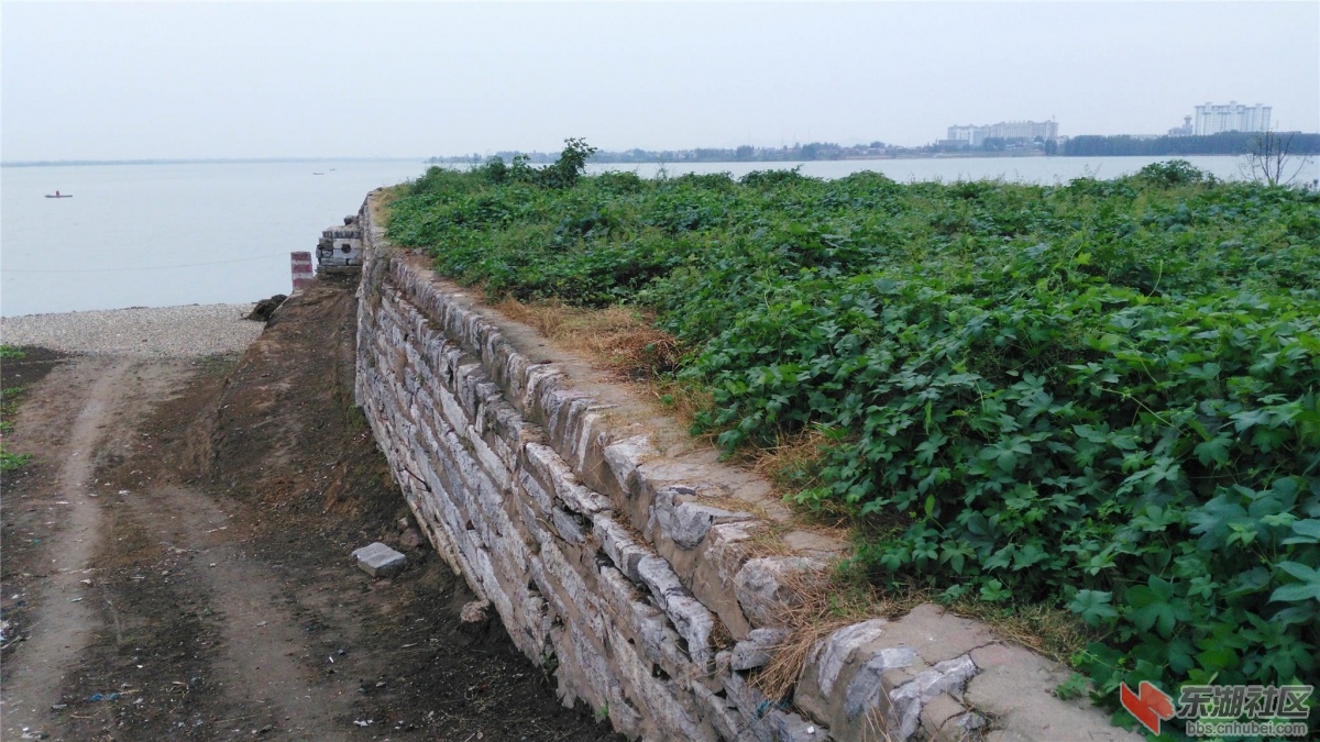 IMG_20160928_164731_副本.jpg