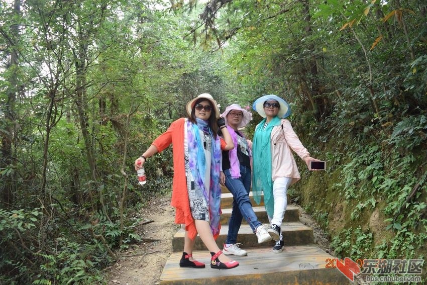 QQ图片20160927110521.jpg