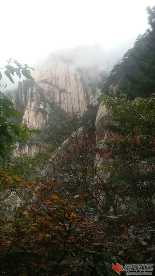 20161001_121906.jpg