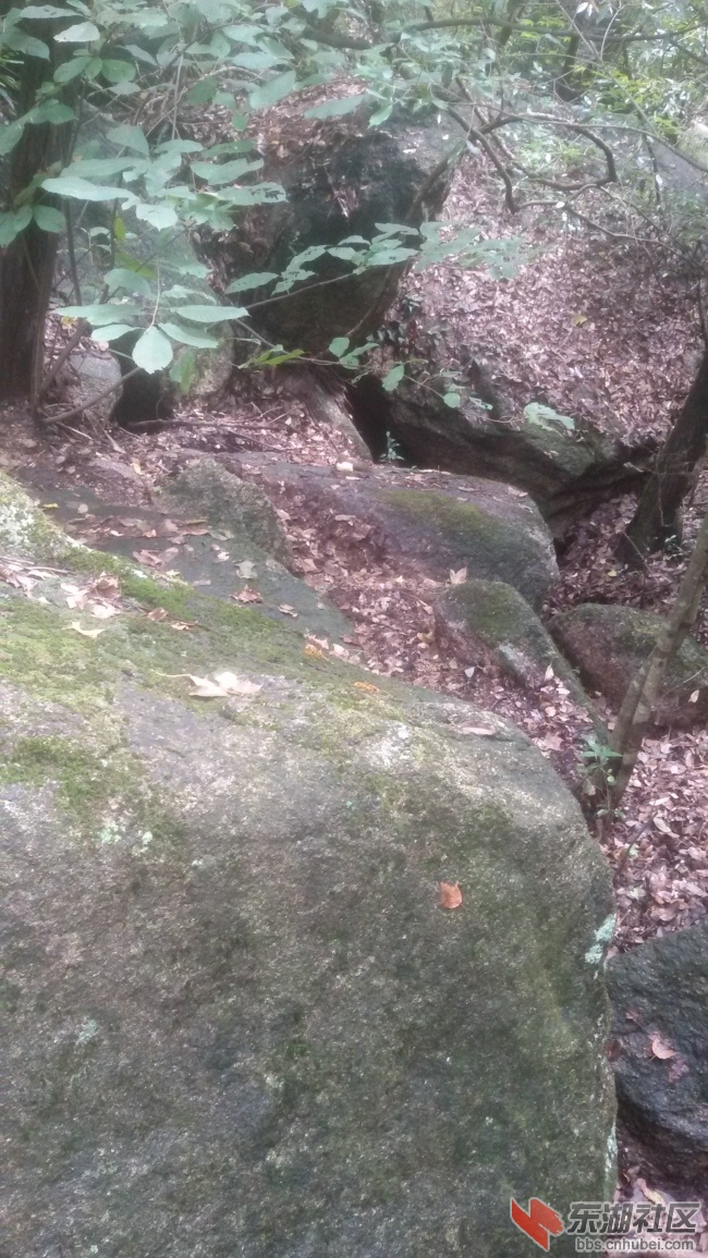 20161001_131738.jpg
