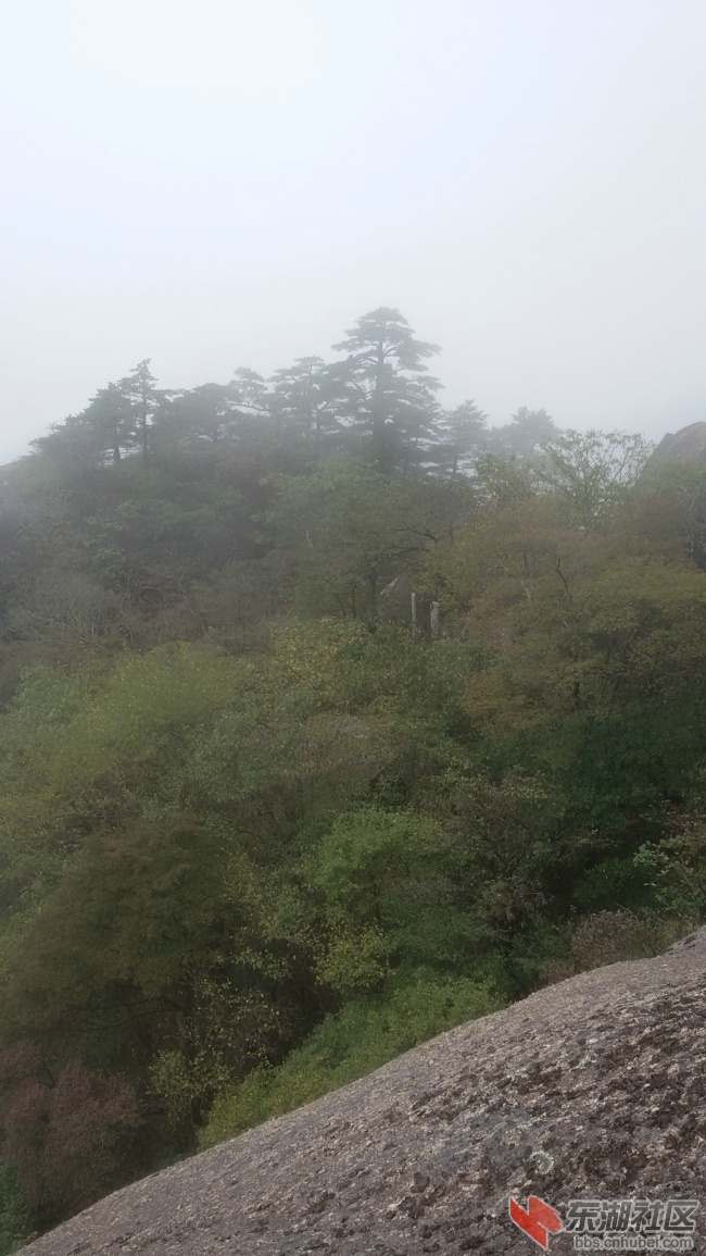 20161001_104634.jpg