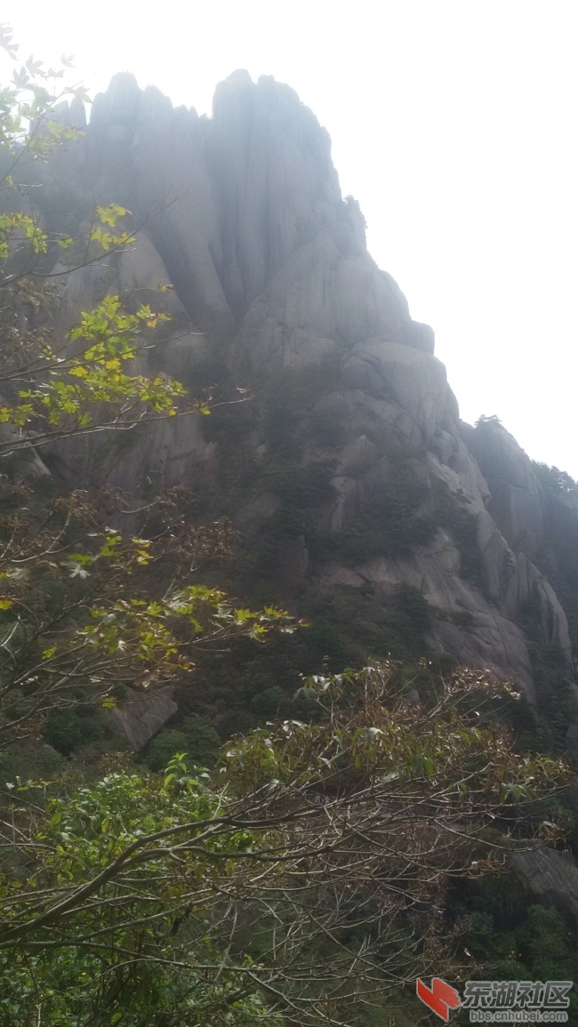 20161001_104754.jpg