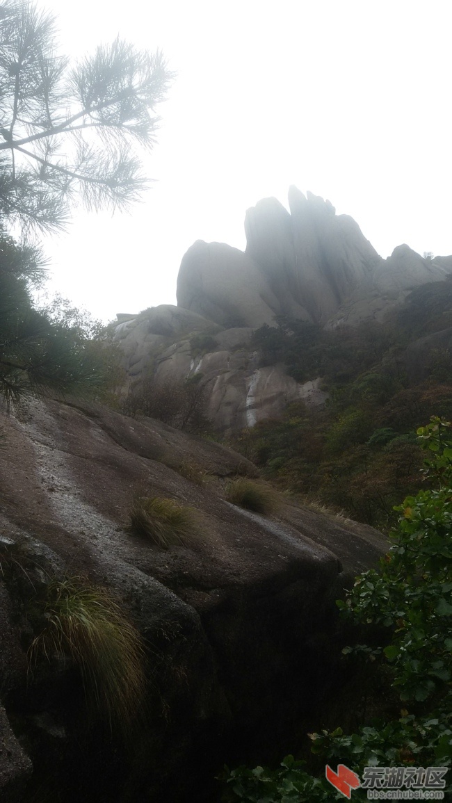 20161001_105353.jpg