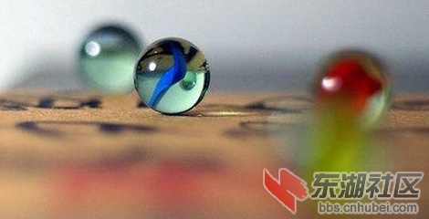 t013c0e155f26b8d044.jpg