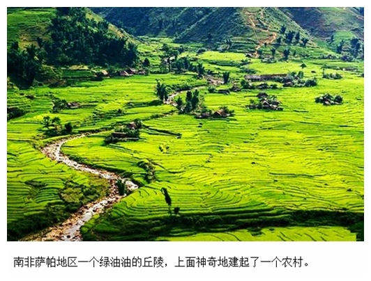 010南非.jpg