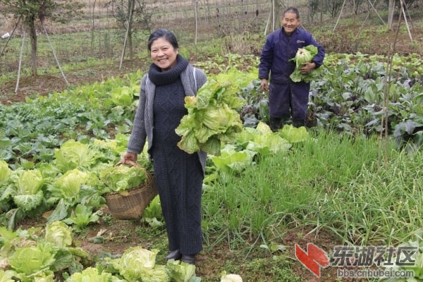 田间笑意融.jpg