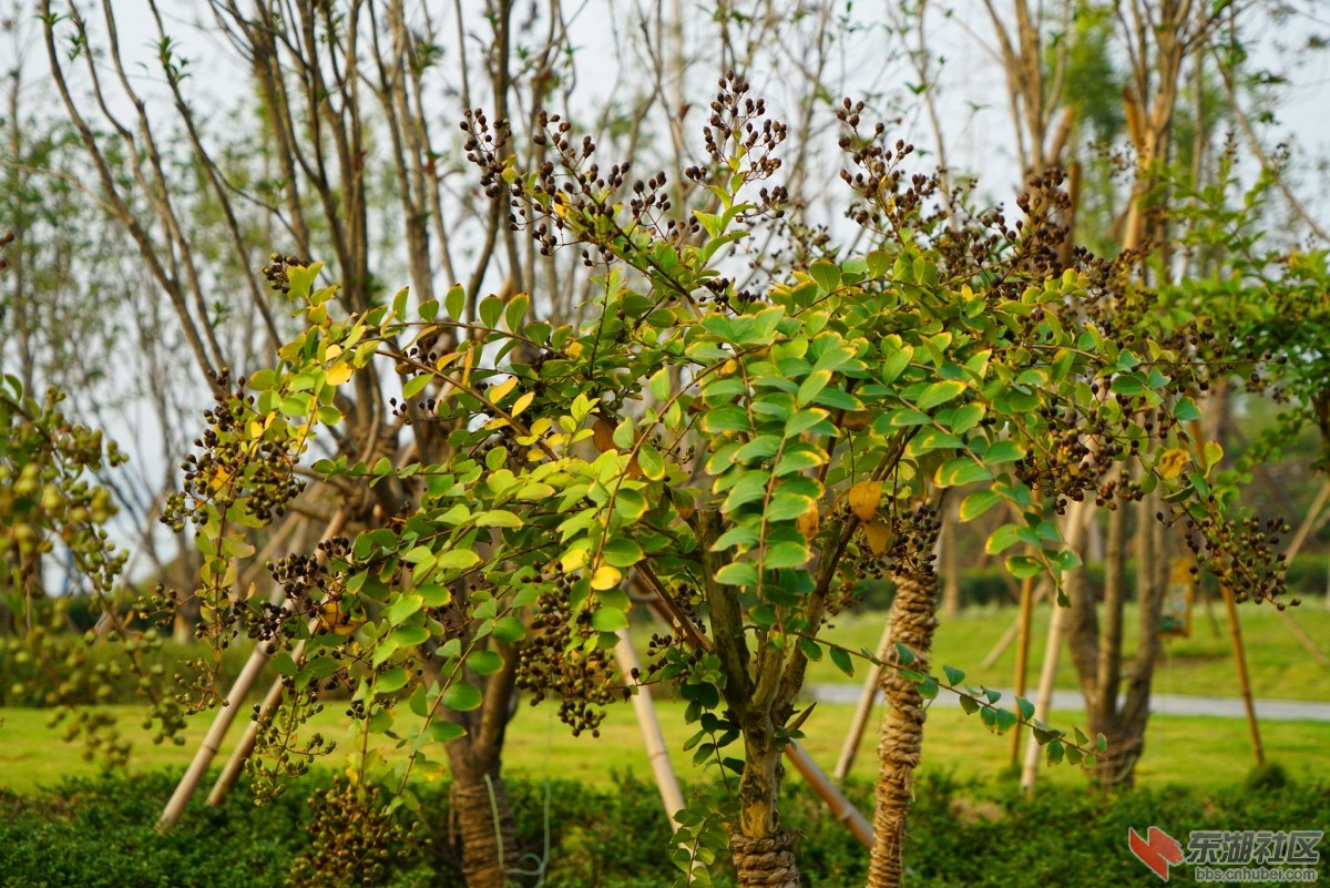DSC00166_副本.jpg