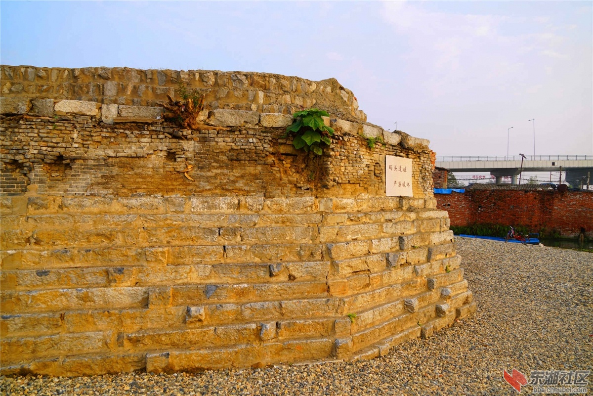DSC00156_副本_副本.jpg