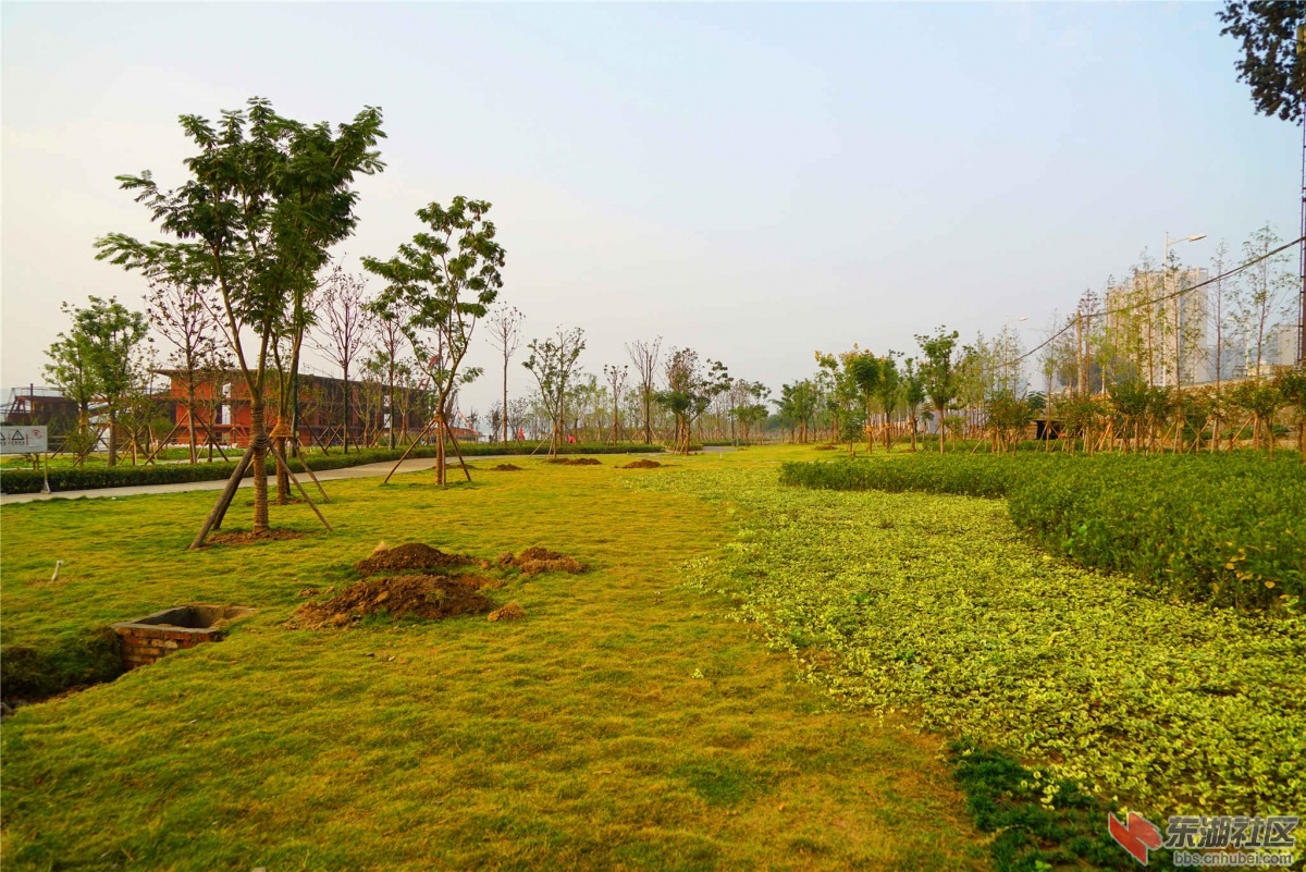 DSC00162_副本_副本.jpg
