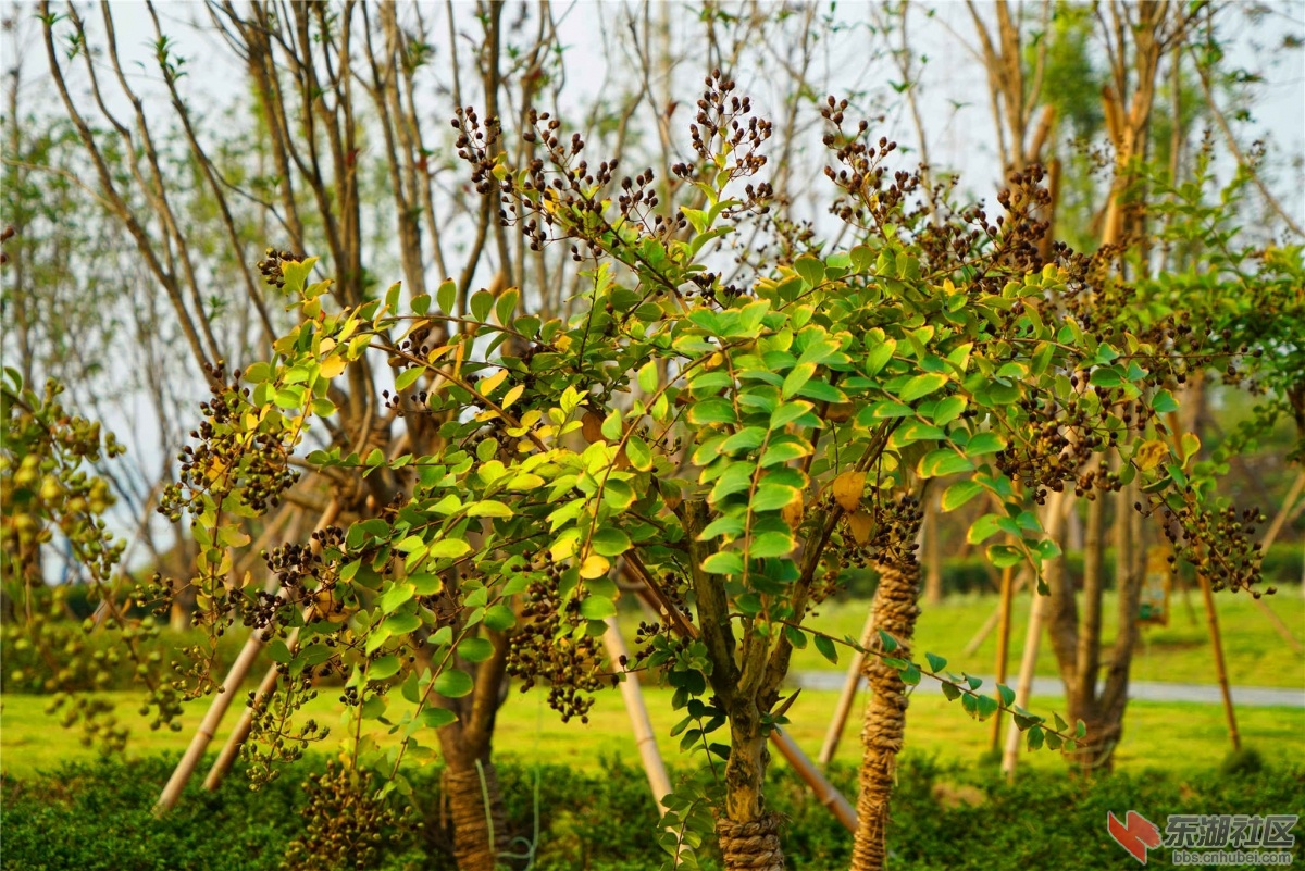 DSC00166_副本_副本.jpg