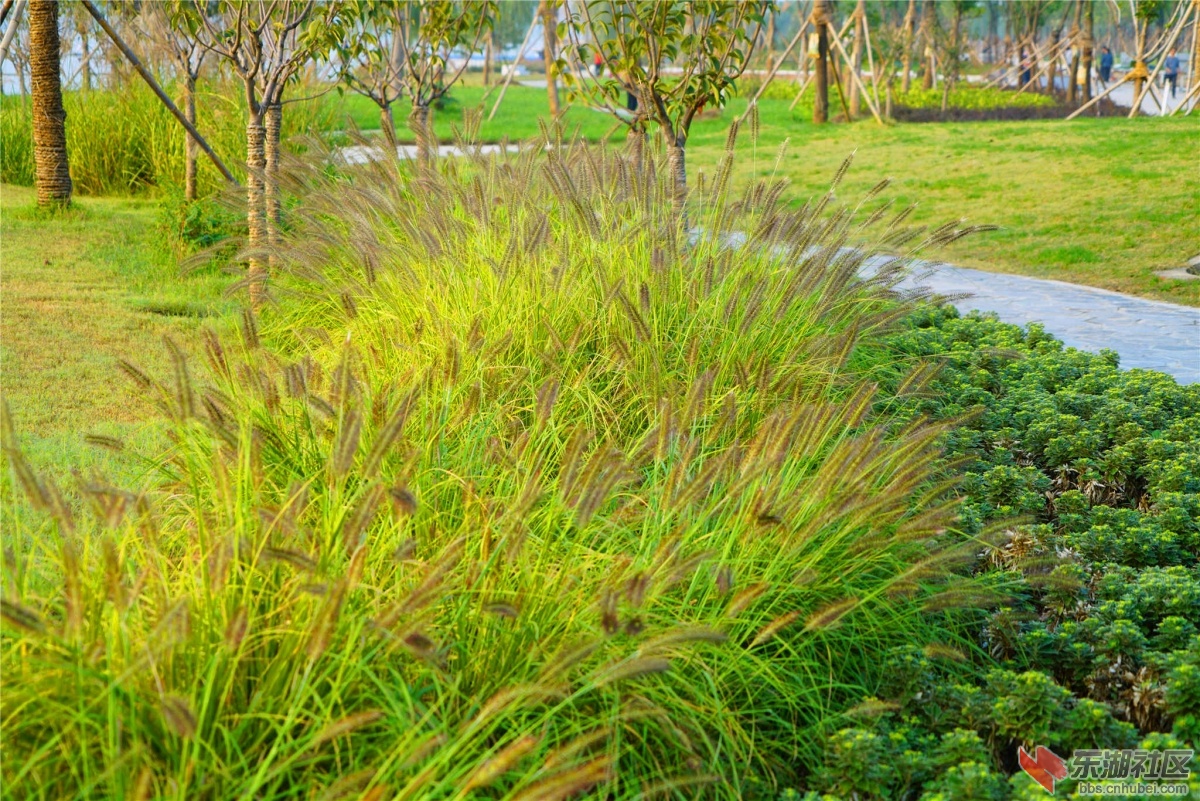 DSC00188_副本_副本.jpg