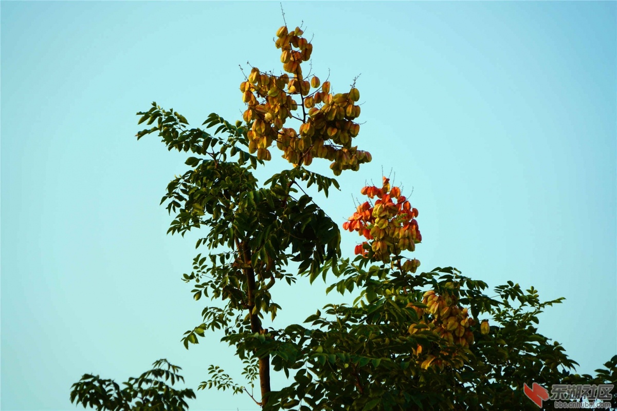DSC00193_副本_副本.jpg