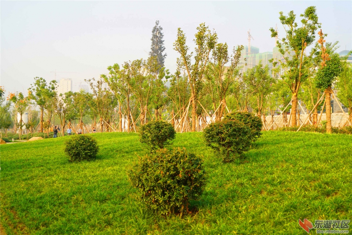 DSC00196_副本_副本.jpg