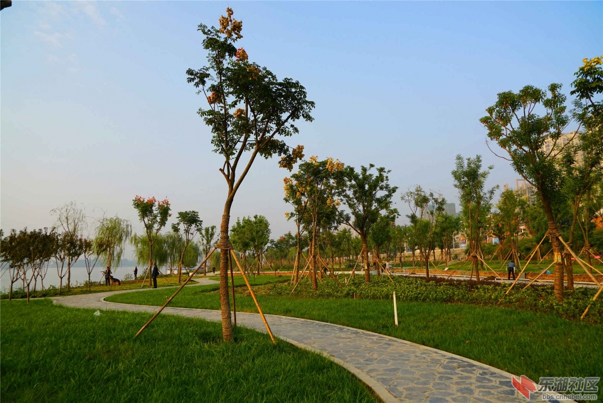 DSC00194_副本_副本.jpg