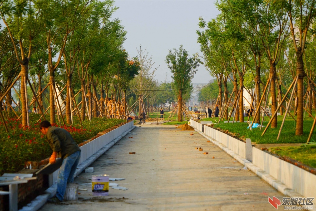 DSC00200_副本_副本.jpg
