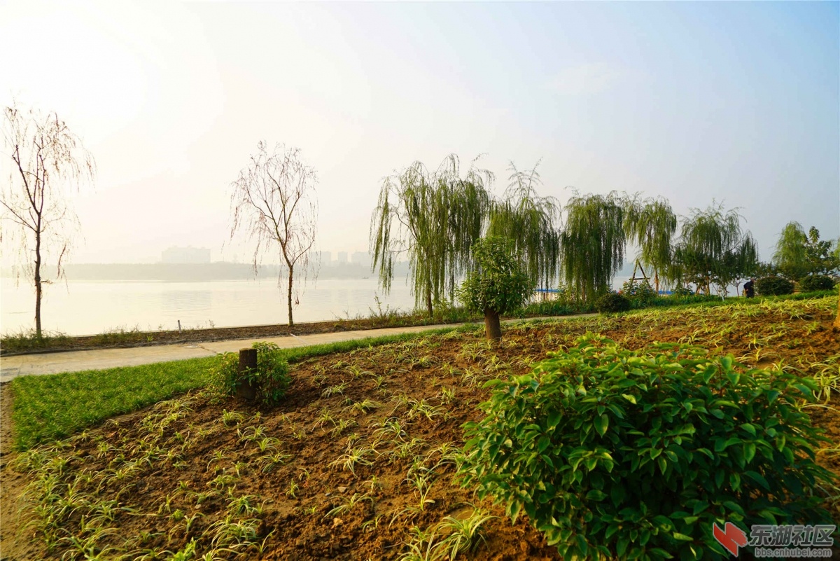 DSC00197_副本_副本.jpg