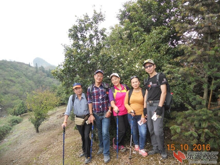 QQ图片20161020183115.jpg