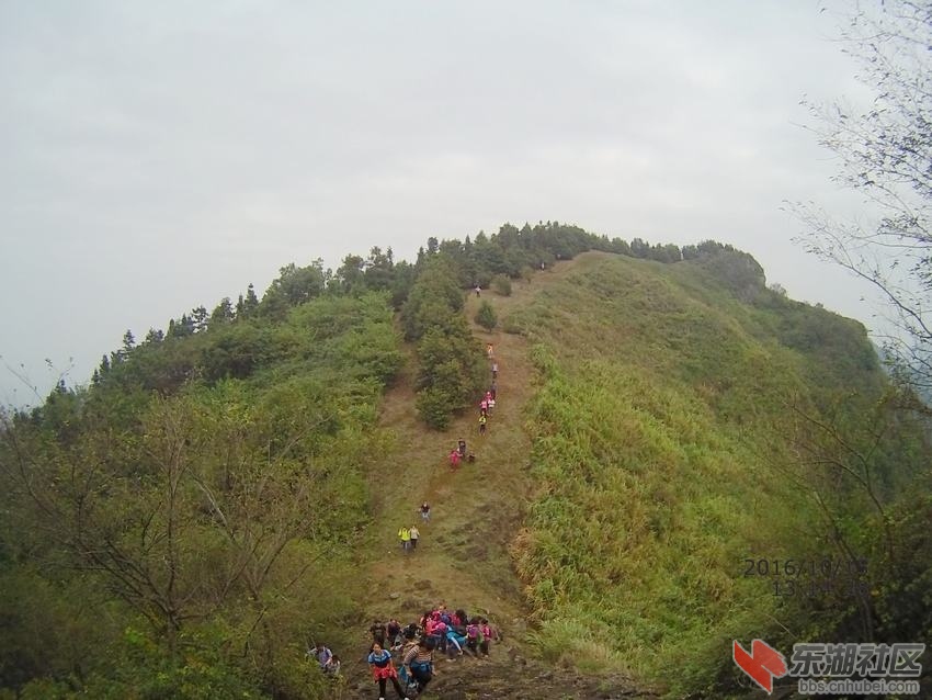 FILE0068.JPG