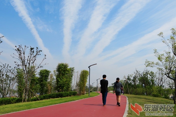 IMG_8748_副本.jpg