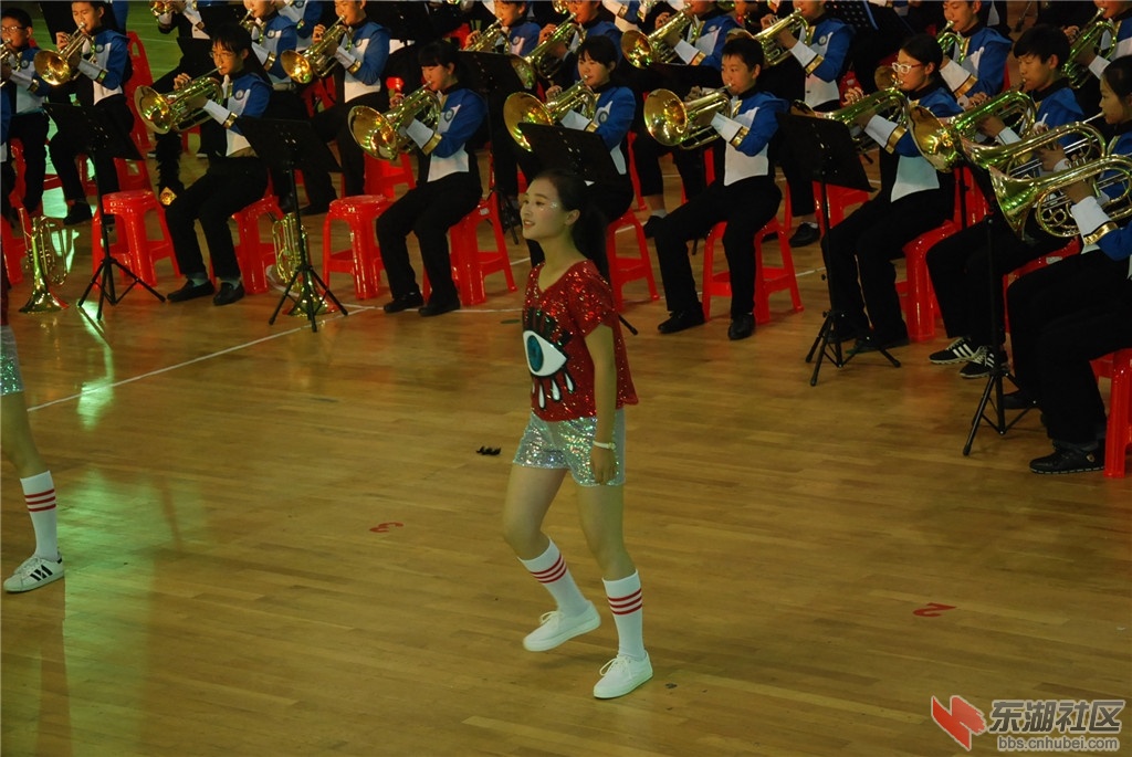 DSC_0390.jpg