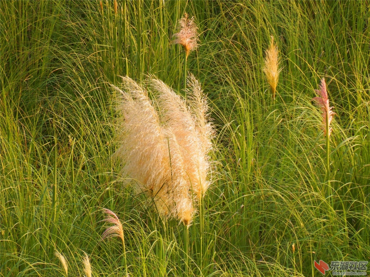 DSCF7002_副本.jpg