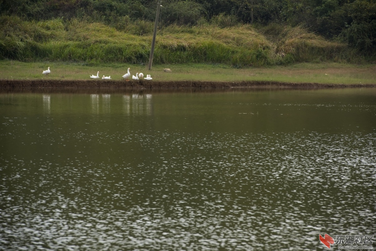DSC_6304.jpg