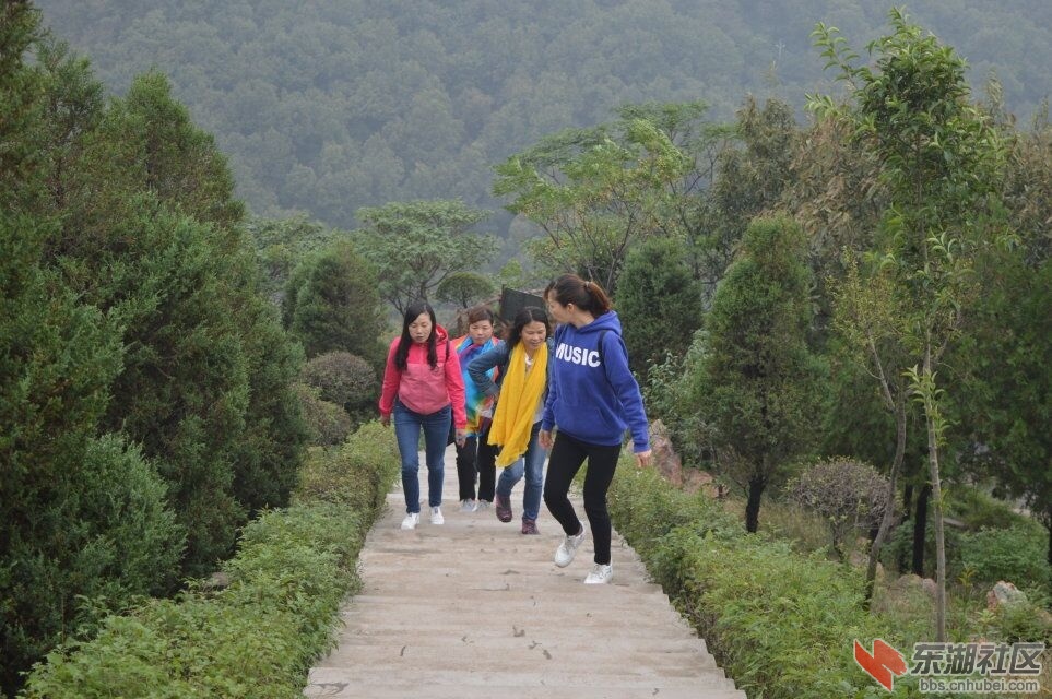 QQ图片20161028233134.jpg